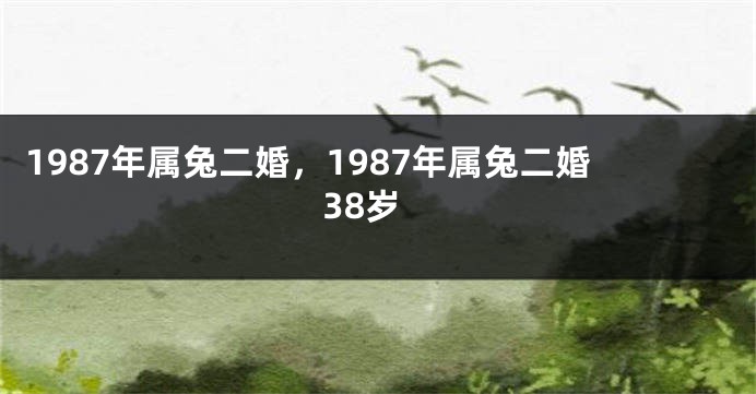 1987年属兔二婚，1987年属兔二婚38岁