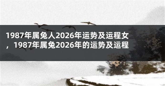 1987年属兔人2026年运势及运程女，1987年属兔2026年的运势及运程