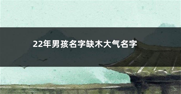 22年男孩名字缺木大气名字