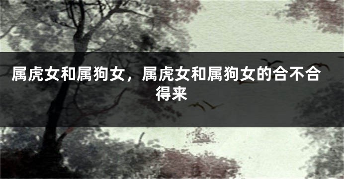 属虎女和属狗女，属虎女和属狗女的合不合得来