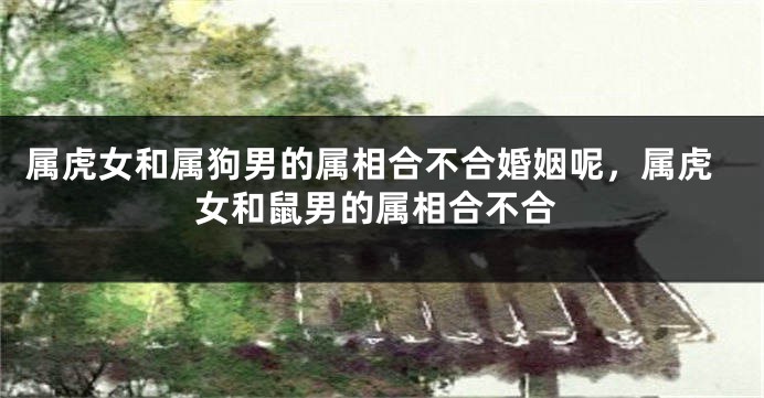 属虎女和属狗男的属相合不合婚姻呢，属虎女和鼠男的属相合不合