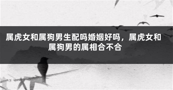 属虎女和属狗男生配吗婚姻好吗，属虎女和属狗男的属相合不合