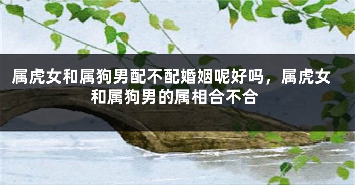 属虎女和属狗男配不配婚姻呢好吗，属虎女和属狗男的属相合不合
