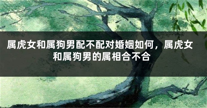 属虎女和属狗男配不配对婚姻如何，属虎女和属狗男的属相合不合