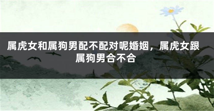 属虎女和属狗男配不配对呢婚姻，属虎女跟属狗男合不合