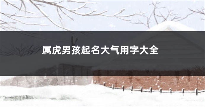 属虎男孩起名大气用字大全
