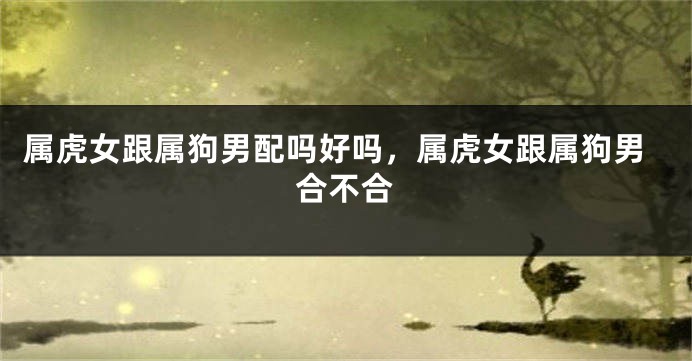 属虎女跟属狗男配吗好吗，属虎女跟属狗男合不合