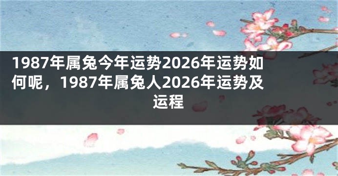1987年属兔今年运势2026年运势如何呢，1987年属兔人2026年运势及运程