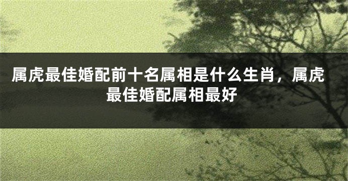 属虎最佳婚配前十名属相是什么生肖，属虎最佳婚配属相最好