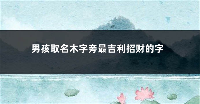 男孩取名木字旁最吉利招财的字