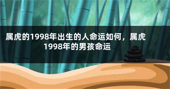 属虎的1998年出生的人命运如何，属虎1998年的男孩命运