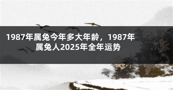 1987年属兔今年多大年龄，1987年属兔人2025年全年运势