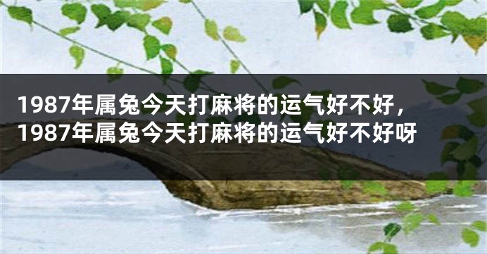 1987年属兔今天打麻将的运气好不好，1987年属兔今天打麻将的运气好不好呀