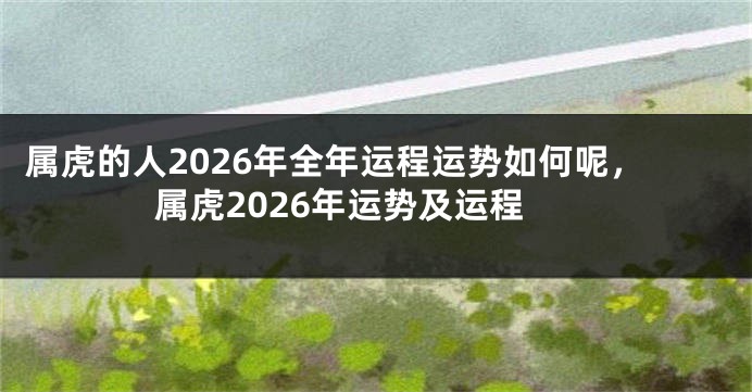 属虎的人2026年全年运程运势如何呢，属虎2026年运势及运程