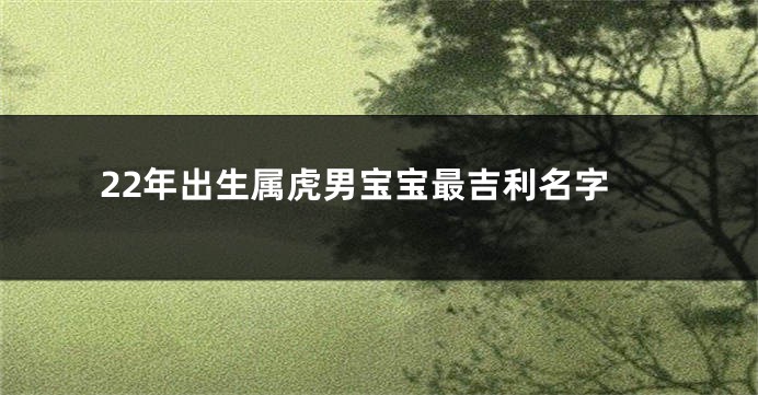 22年出生属虎男宝宝最吉利名字