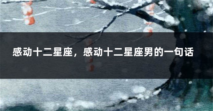 感动十二星座，感动十二星座男的一句话