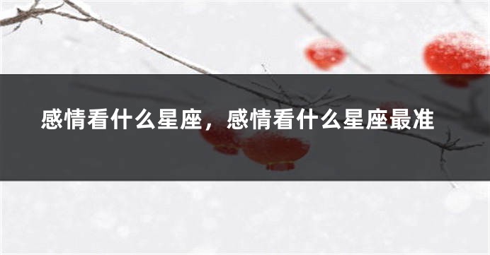 感情看什么星座，感情看什么星座最准