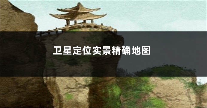 卫星定位实景精确地图