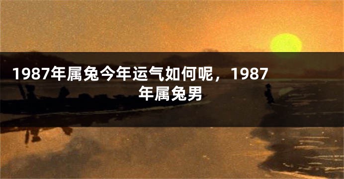 1987年属兔今年运气如何呢，1987年属兔男
