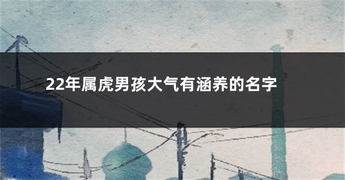 22年属虎男孩大气有涵养的名字