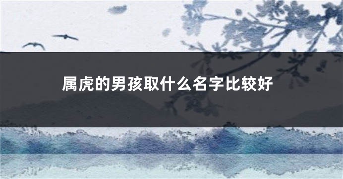属虎的男孩取什么名字比较好