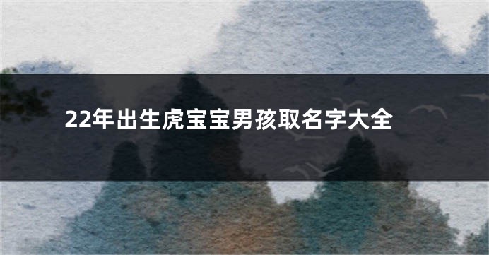 22年出生虎宝宝男孩取名字大全