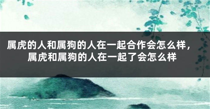 属虎的人和属狗的人在一起合作会怎么样，属虎和属狗的人在一起了会怎么样