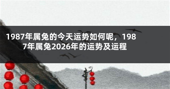 1987年属兔的今天运势如何呢，1987年属兔2026年的运势及运程