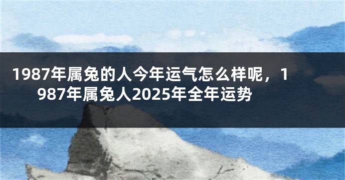 1987年属兔的人今年运气怎么样呢，1987年属兔人2025年全年运势