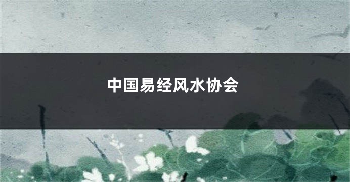 中国易经风水协会