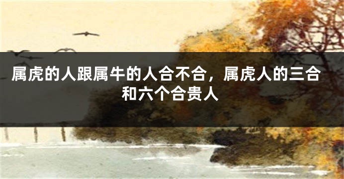 属虎的人跟属牛的人合不合，属虎人的三合和六个合贵人
