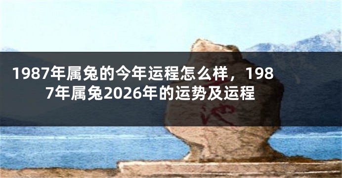 1987年属兔的今年运程怎么样，1987年属兔2026年的运势及运程
