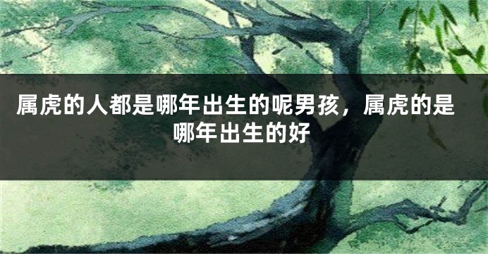 属虎的人都是哪年出生的呢男孩，属虎的是哪年出生的好