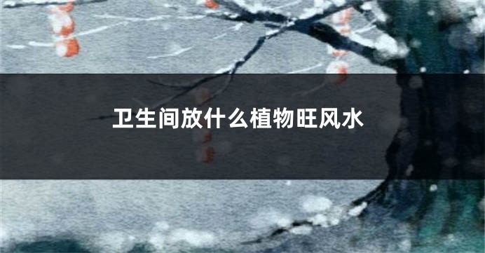 卫生间放什么植物旺风水