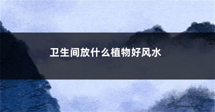 卫生间放什么植物好风水