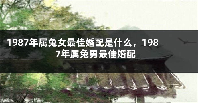 1987年属兔女最佳婚配是什么，1987年属兔男最佳婚配