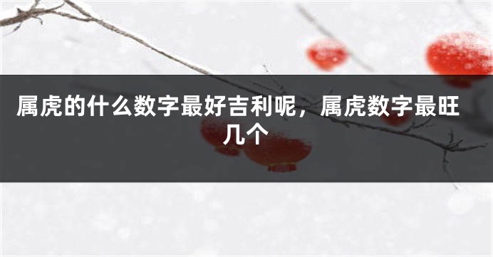 属虎的什么数字最好吉利呢，属虎数字最旺几个