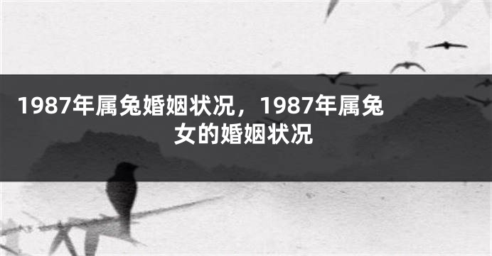 1987年属兔婚姻状况，1987年属兔女的婚姻状况