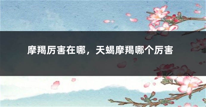 摩羯厉害在哪,天蝎摩羯哪个厉害