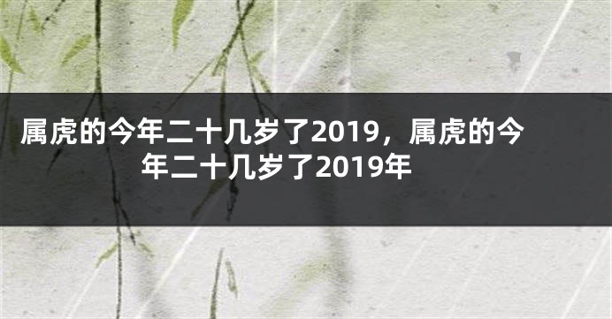 属虎的今年二十几岁了2019，属虎的今年二十几岁了2019年