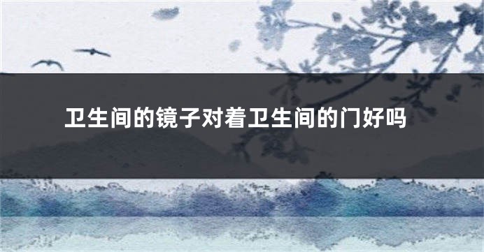 卫生间的镜子对着卫生间的门好吗
