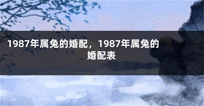 1987年属兔的婚配，1987年属兔的婚配表
