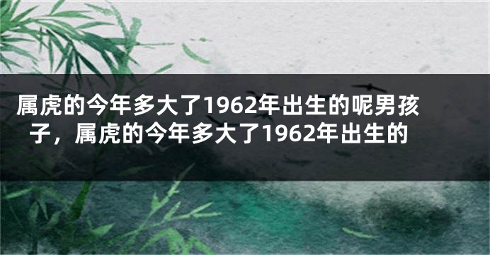 属虎的今年多大了1962年出生的呢男孩子，属虎的今年多大了1962年出生的