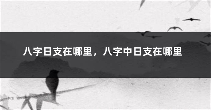 八字日支在哪里，八字中日支在哪里