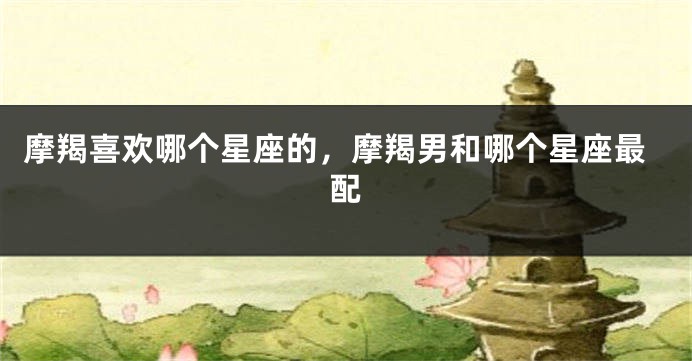 摩羯喜欢哪个星座的，摩羯男和哪个星座最配