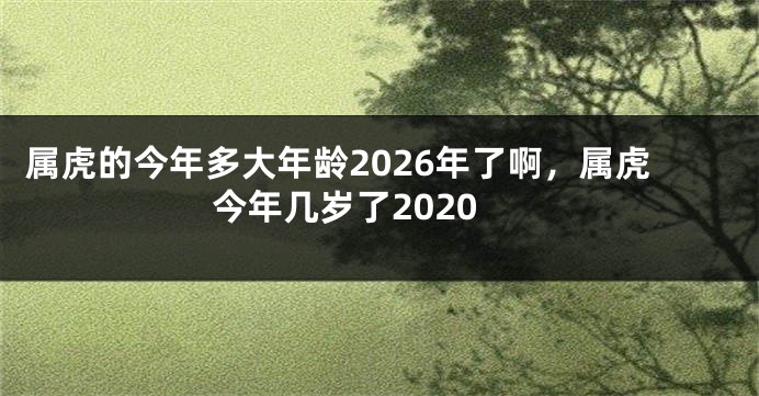 属虎的今年多大年龄2026年了啊，属虎今年几岁了2020