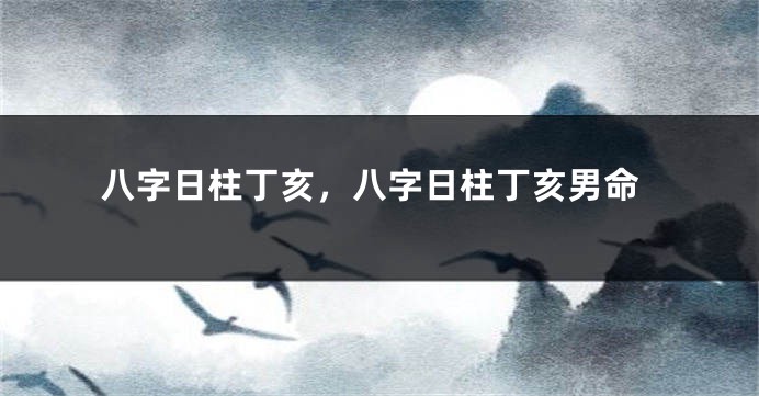 八字日柱丁亥，八字日柱丁亥男命