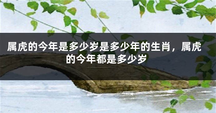 属虎的今年是多少岁是多少年的生肖，属虎的今年都是多少岁