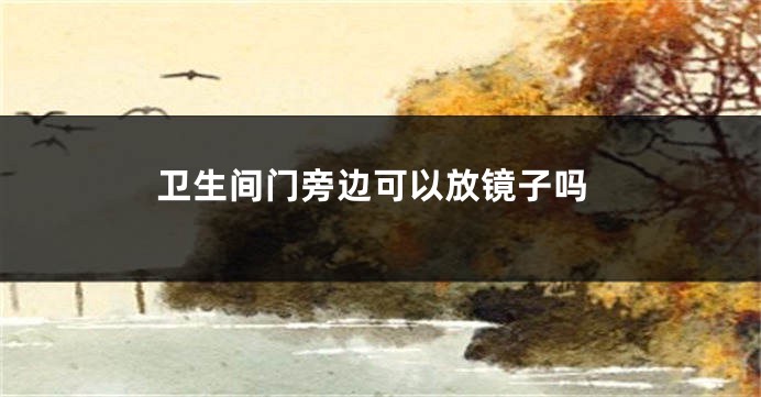 卫生间门旁边可以放镜子吗