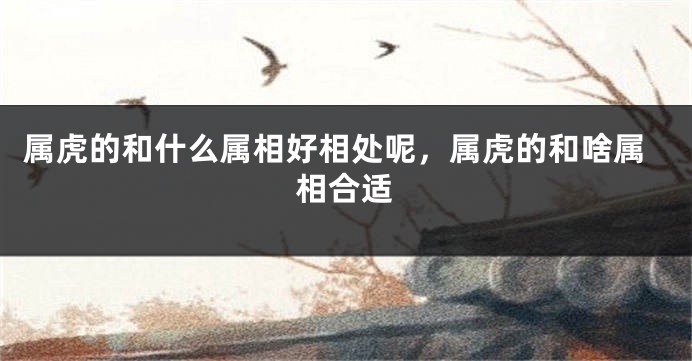 属虎的和什么属相好相处呢，属虎的和啥属相合适